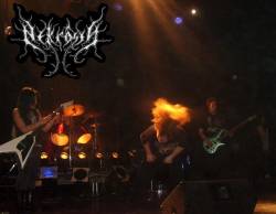 First Live Destruction